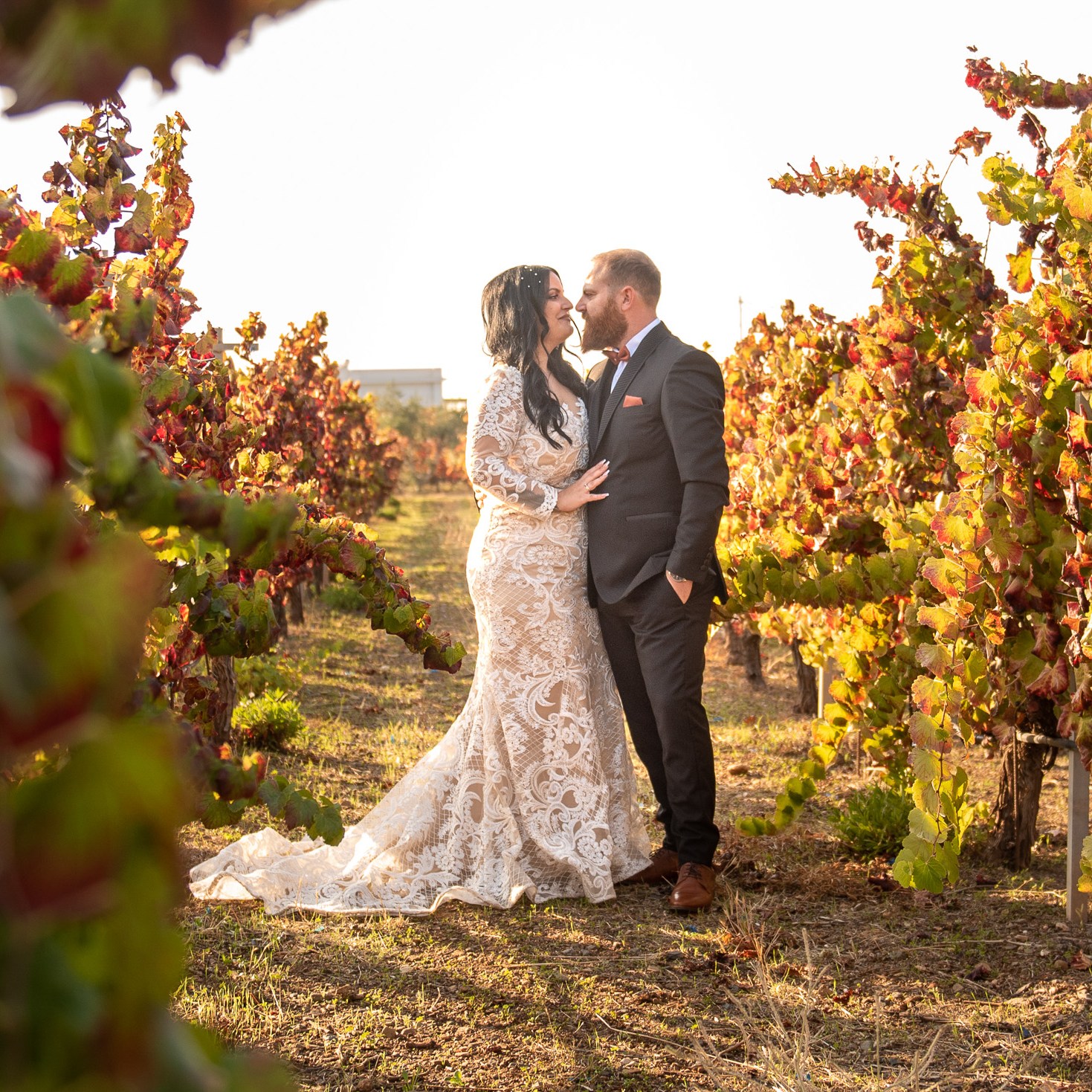 Kos island wine tour with sunset  photo session